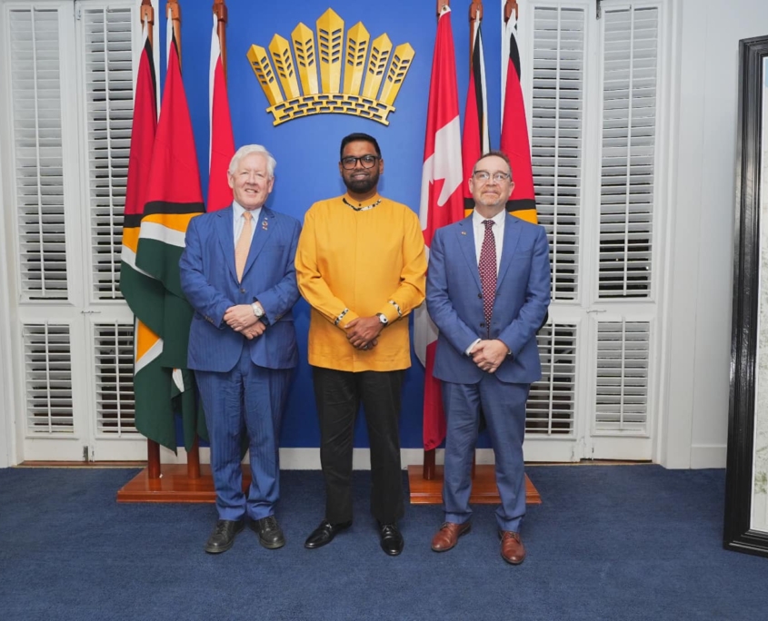 His Excellency President Dr Irfaan Ali Met with Permanent ...